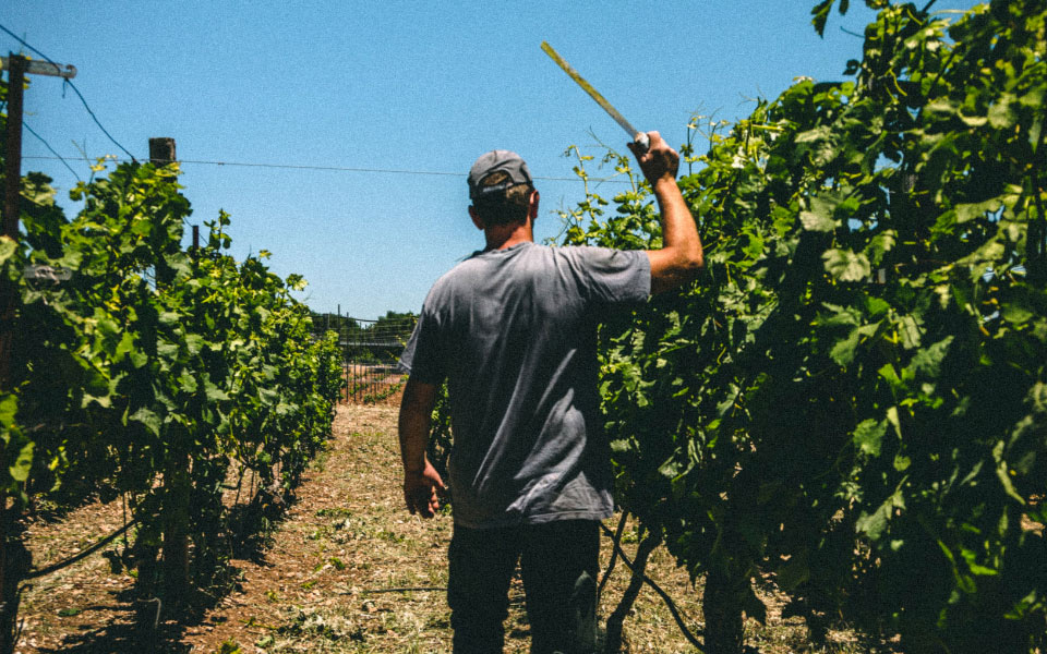 Speak Up NC Agriculture Worker